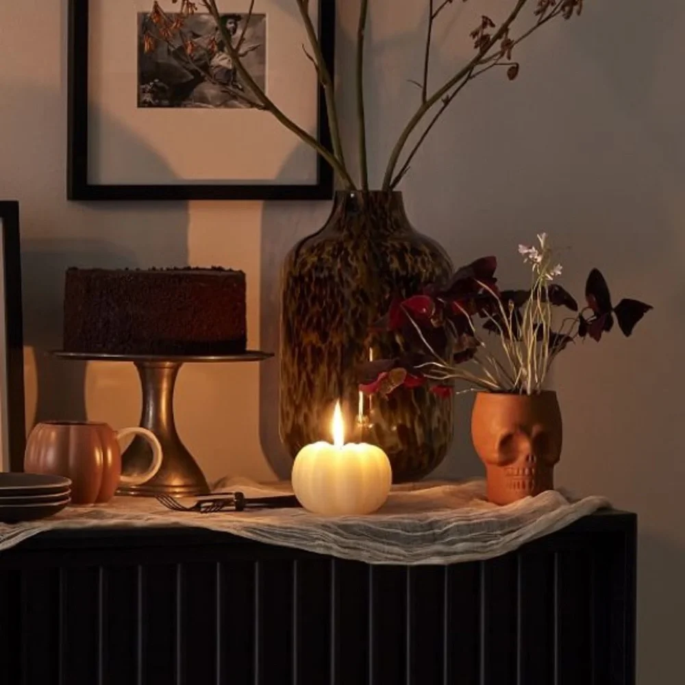 West Elm Spooky and Unique Handcrafted Terracotta Skull Vases - Set of 2 💀